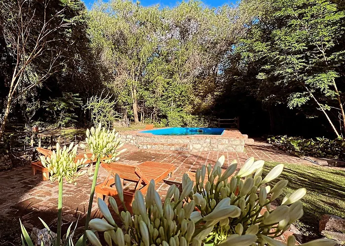 Las Camellias